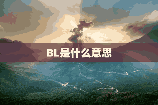 BL是什么意思